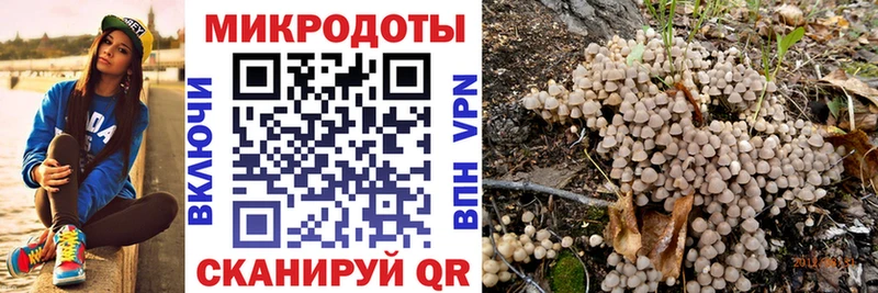 OMG зеркало  Чадан  Галлюциногенные грибы ЛСД 
