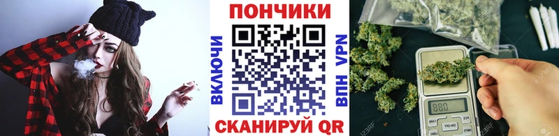 Шишки марихуана конопля  Чадан 